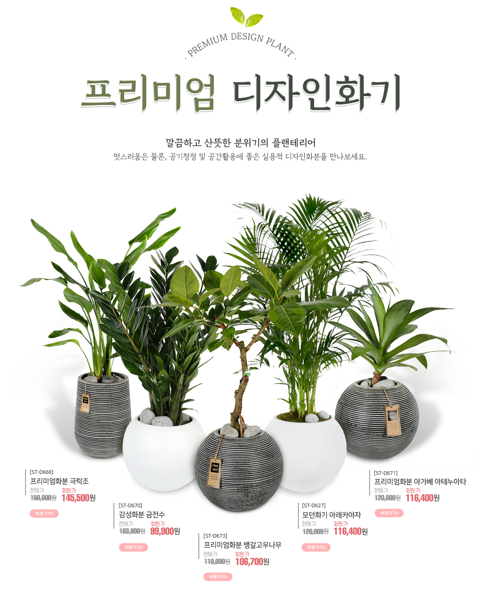 소중한 분께 전하는 첫번째 정성