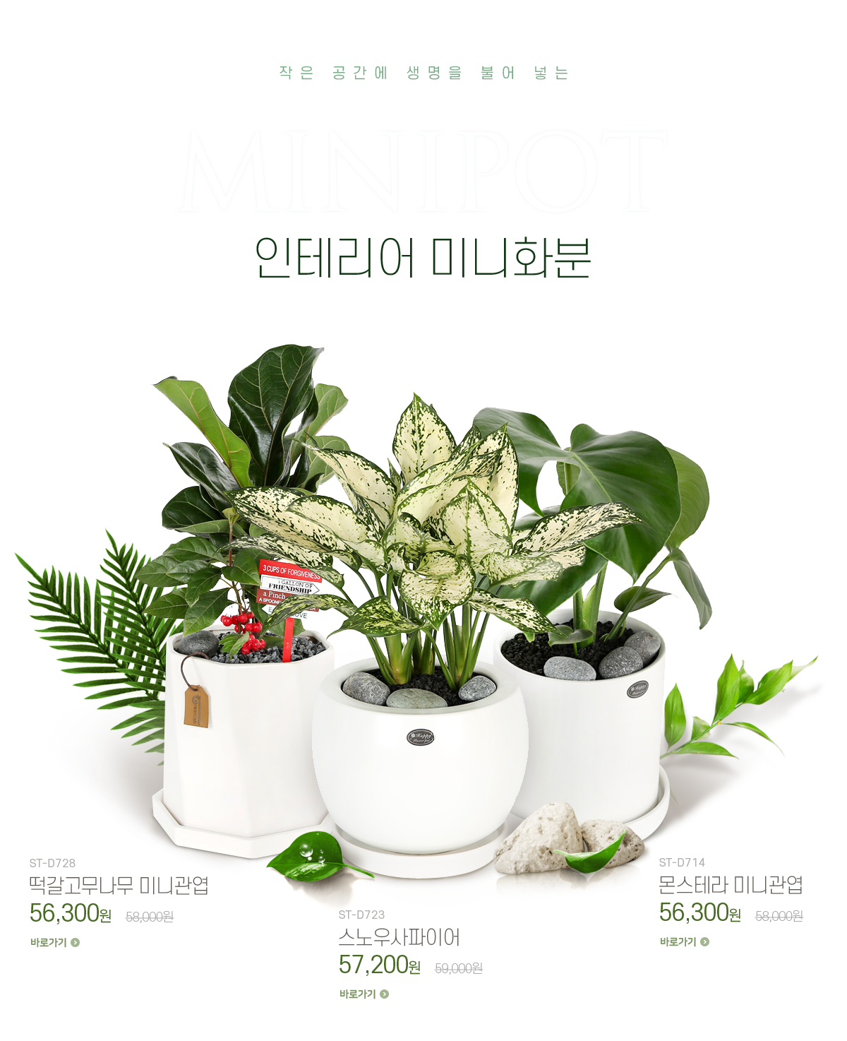 2021 미니화분