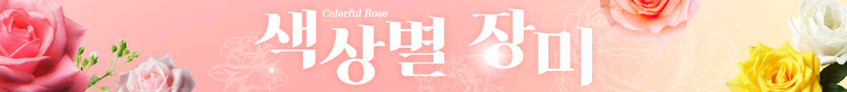 색상별 장미모음
