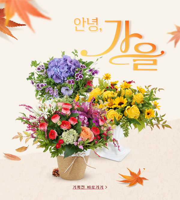 시즌기획전 배너