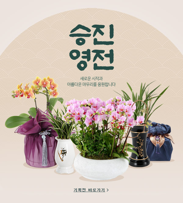 시즌기획전 배너