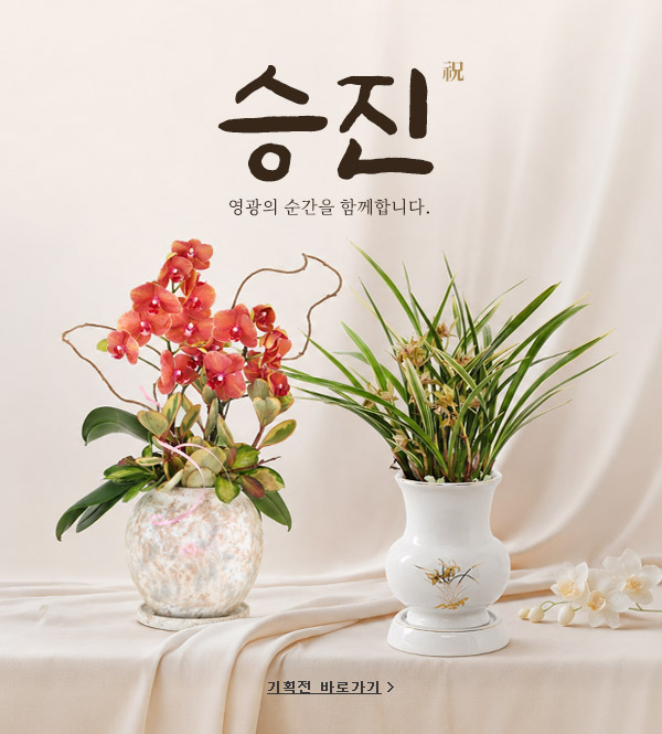시즌기획전 배너